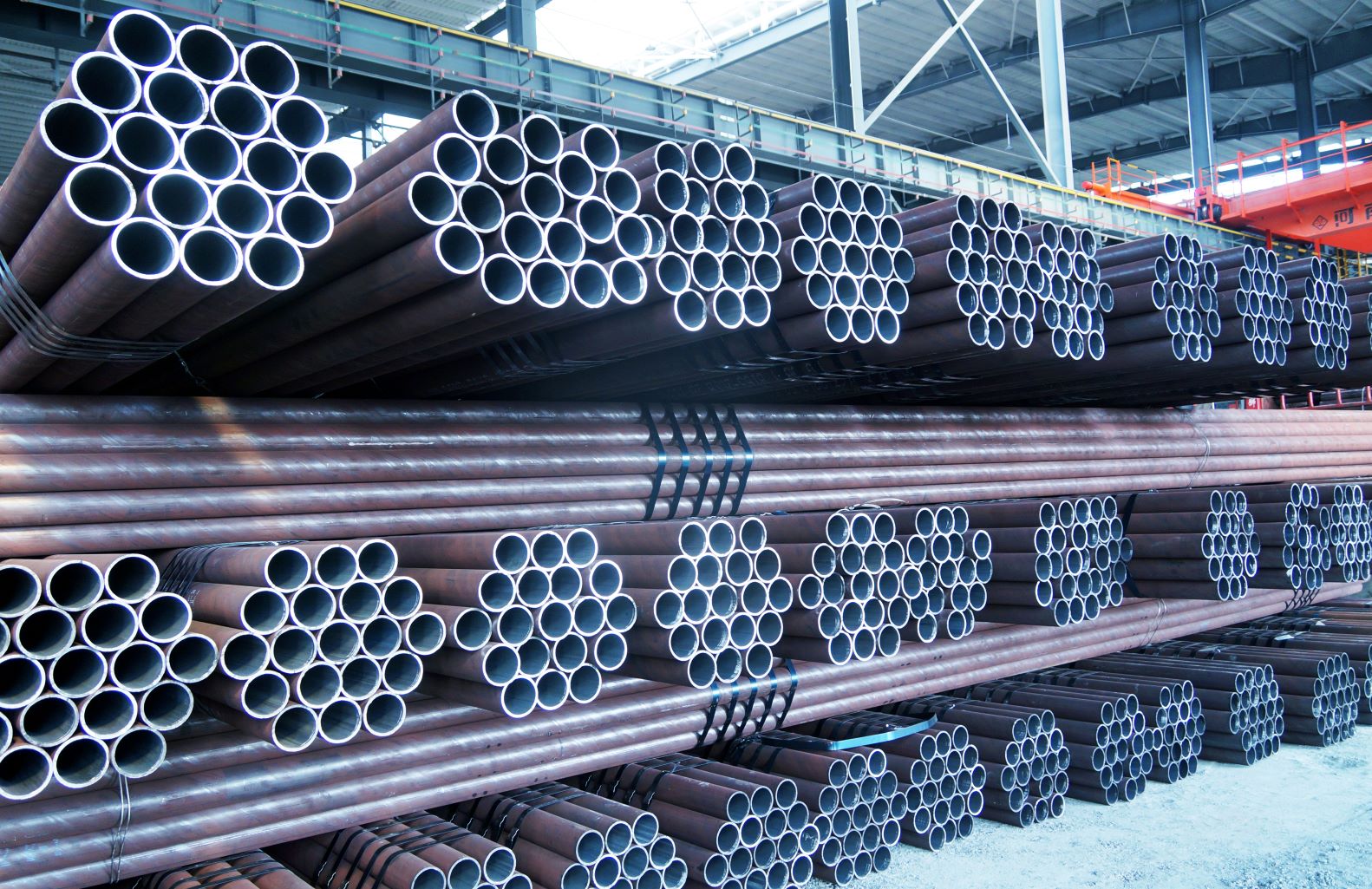 1696390995051093256.jpg 2.jpg